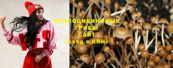mdpv Алексин